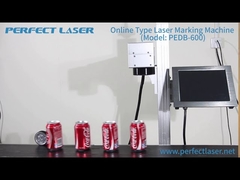 Máquina de Marcação a Laser Perfeita para garrafas ou Linha de Produção PEDB-600